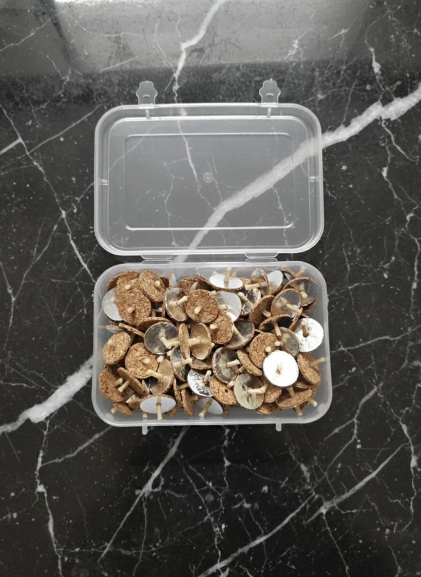 Sri Yagnaa Traditional 100 Floating Wicks Jala Deepalu for Pooja Offerings